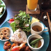 10/10 food at Neu Cat Cafe in Osaka