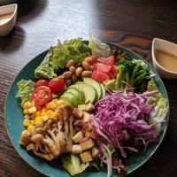 Buddha bowl at Neu Cat Cafe in Osaka