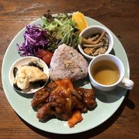 Set meal - absolutely delicious  at Neu Cat Cafe in Osaka