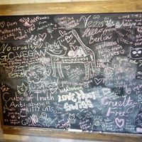 Many vegan foreign tourists visited this place. at Neu Cat Cafe in Osaka