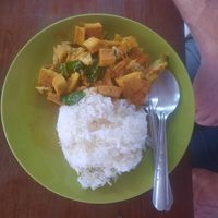 Fried tofu curry at Nok's Kitchen in Koh Phangan
