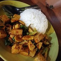 Red curry and rice at Nok's Kitchen in Koh Phangan