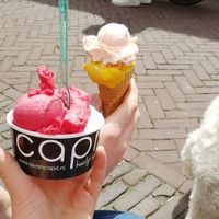 In the cup: raspberry and lemon, cone not vegan at IJssalon Capri in Zierikzee