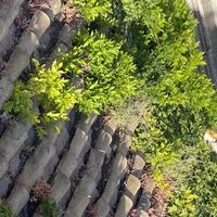 One of the roof tops!  at Hotel Raphael in Rome