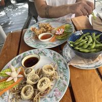 Gyoza, wantan and edmame  at Vegan Chay in Munich