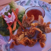 Wantan at Vegan Chay in Munich