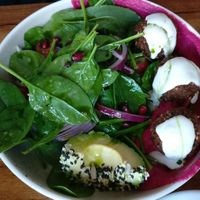 Falafel bowl (freshly made, green inside) at Wholesome Eatery Cafe in Manly