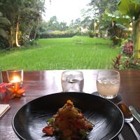  at Sacred Rice in Ubud