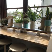 Clean and modern space with delicious vegan food  at Taart in Bridgwater