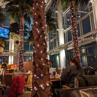 restaurant interior at Cafe Tosca in Yokohama