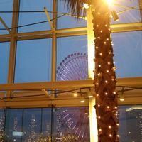 ferris wheel outside hotel at Cafe Tosca in Yokohama