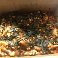 Gf pasta with lentil meatballs with pine nuts, broccoli, fresh basil added at Brick Road Pizza Co in Grand Rapids