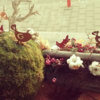 Window display at Un Dulce de la Vlad Muresan in Cluj-napoca