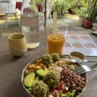 Falafel Salad Bowl & Fresh Mango Juice  at Ellie's Cafe in Hoi An