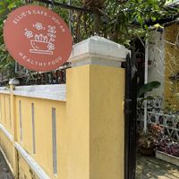 Family-owned business tucked away in the shade  at Ellie's Cafe in Hoi An