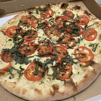 Margherita pizza with vegan cheese at OTTO in Brookline