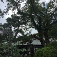 Outside  at Kin Cafe 753 in Yokohama