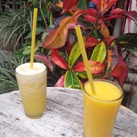  at Persian House in Mindo