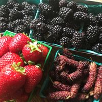 Blackberries, mulberries, and strawberries.  at SOCO & The OC Mix in Costa Mesa