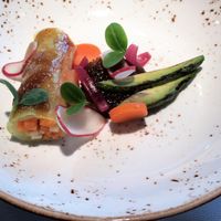 Vegetable spring roll served with a garlic-onion tartar. With some grilled avocado.  at TOV in Schagen