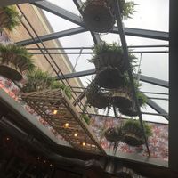 Very modern design at Elephant and The Dove in Skaneateles