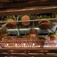 Beautiful sky light on the top floor at Elephant and The Dove in Skaneateles