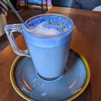Lavender oat milk latte, one of the more unusual offerings but it's so unusual it works! at Bio Cafe in Aberdeen
