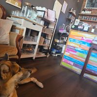  at Bio Cafe in Aberdeen