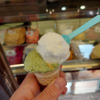 Pistachio (rice-based milk) and lemon ice cream at Ice Cafe Adria in Podebrady