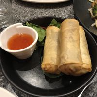 Vegan Spring Rolls at All Thai in Sandy Bay