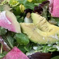 Ensalada - vegan at Cielo Rojo in Takoma Park