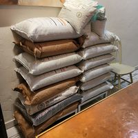 Rice to die for at Cielo Rojo in Takoma Park