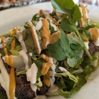  at Cielo Rojo in Takoma Park