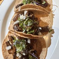   at Cielo Rojo in Takoma Park