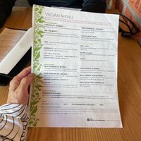 V thoughtful vegan menu!!!  at Cielo Rojo in Takoma Park