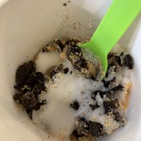   at Charlotte's in Farmingdale