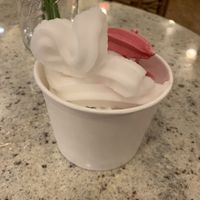 Vegan coconut and raspberry pomegranate frozen yogurt at Charlotte's in Farmingdale