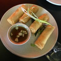 Truffle spring rolls  at Yulli's in Byron Bay