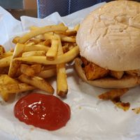 Tofu Sandwich and fries at Brothers BBQ in Broomfield