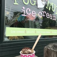 Vegan banana almond & chocolate ice creams with sprinkles at Pugnuts in Surry