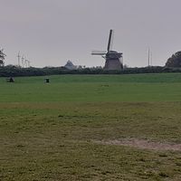 Nice view at Het Veerkwartier in Haarlem