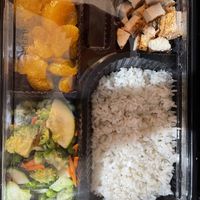 Vegan gluten free kids bento box   at Tokyo Joe's - Cornerstar Way in Aurora