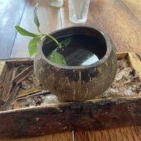 Cacao tea at Laylo in Tulum
