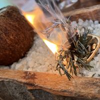 Kava  at Laylo in Tulum