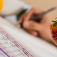 Cálculos nutricionales 2/3 at Dos Tercios in Lima