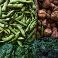 Insumos Orgánicos 2/3 at Dos Tercios in Lima