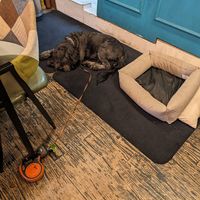  at Cafe SIVA 카페 시바 in Seoul