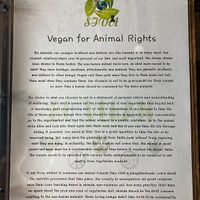   at Cafe SIVA 카페 시바 in Seoul