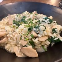 Oyster mushroom risotto  at Maccaroni Trattoria Italiana in Melbourne
