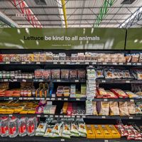 Lettuce be kind to all animals at Kaylee's in Johannesburg